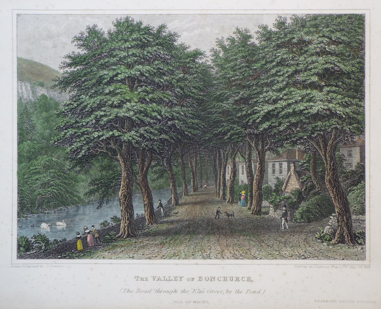 Print - The Valley of Bonchurch, (The Road through the Elm Grove, by the Pond.) - Brannon
